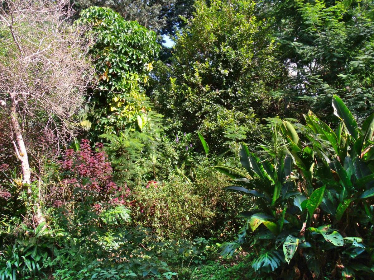 Hotel Curitiba Campo Comprido Ngoại thất bức ảnh