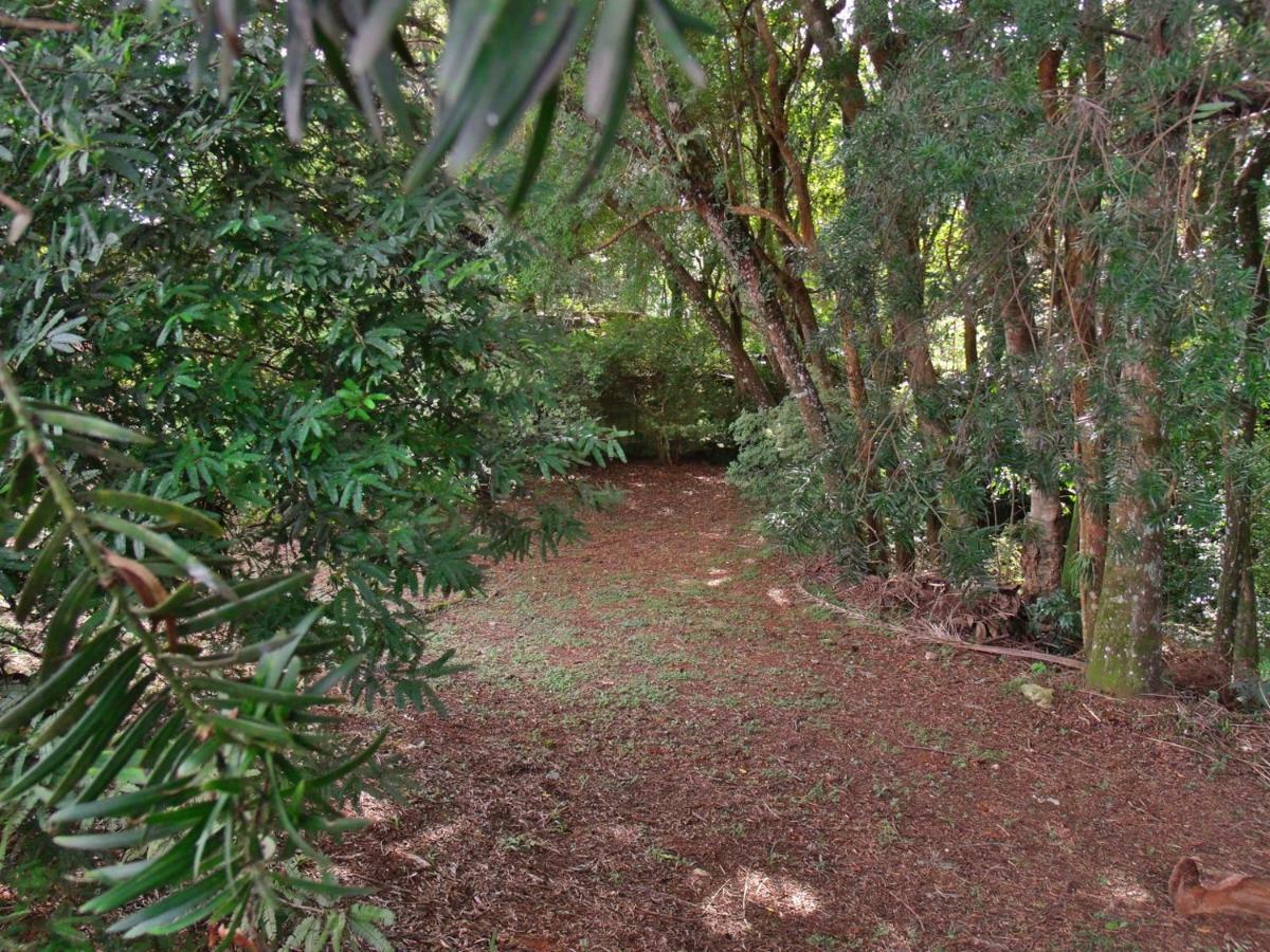 Hotel Curitiba Campo Comprido Ngoại thất bức ảnh